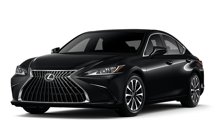 Luxury Service in Picture1 with Combined Chauffeured Cars